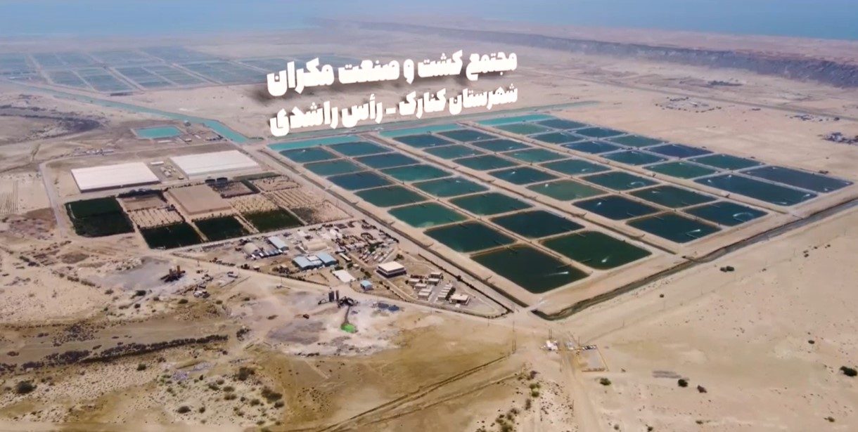 تیزر مجتمع کشت و صنعت مکران