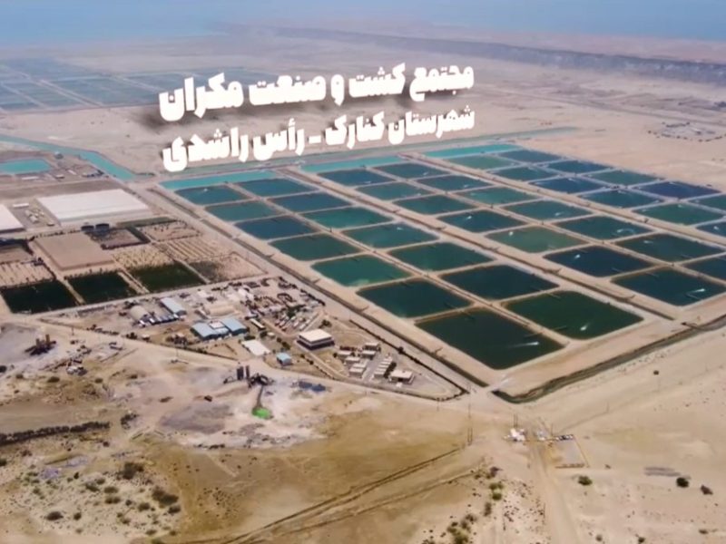 تیزر مجتمع کشت و صنعت مکران